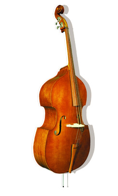 低音大提琴